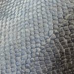 213 grau-blau schimmer