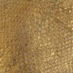 79 shiny hell bronze