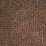 307 - braun/schimmer