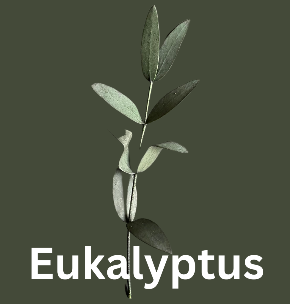 edelstahl-dekoreifen-mit-passer-trockenblumen-melas-l-die
