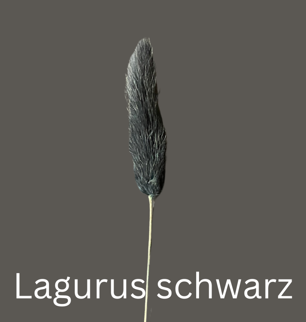 edelstahl-dekoreifen-mit-passer-trockenblumen-melas-l-die